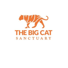 The Big Cat Sanctuary