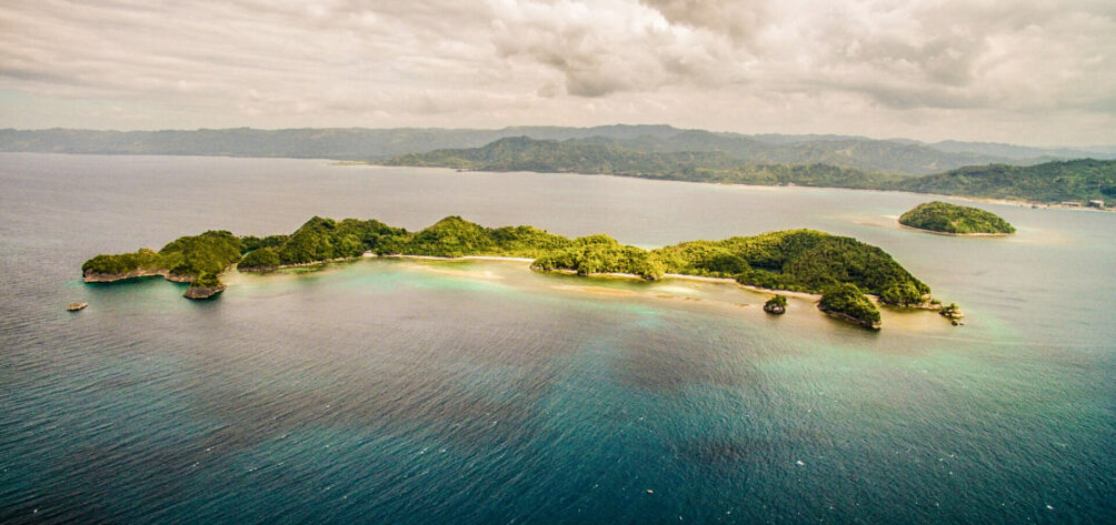 Aerial view of Danjugan Island