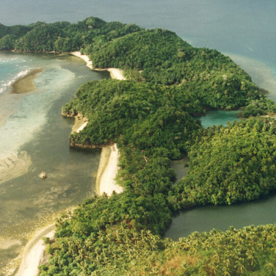 Danjugan Island Danjugan Island