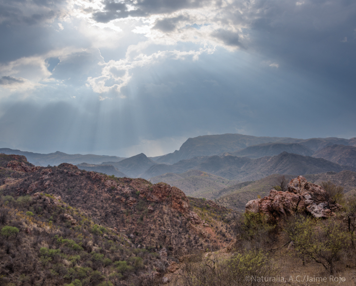 A scenic view of the Jaguar del Norte Reserve