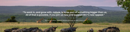 Quote from Siyabonga Sibiya