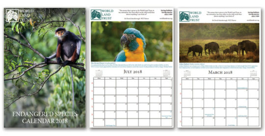 WLT Endangered Species Calendar 2018