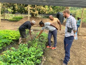 The nursery where the young saplings are raised prior to planting out in the restoration areas.