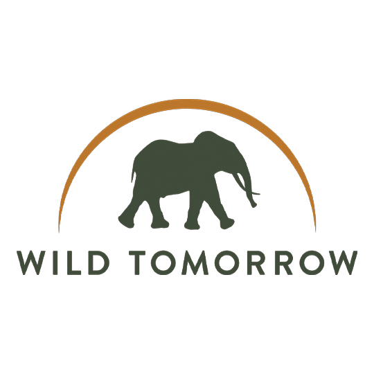 Wild Tomorrow